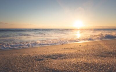 The Power of Paid Media: Maximizing Brand Visibility and Engagement