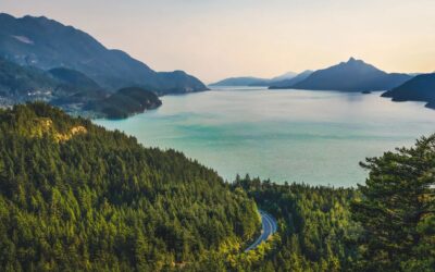The Art and Science of Healthcare Marketing: Navigating a Dynamic Landscape