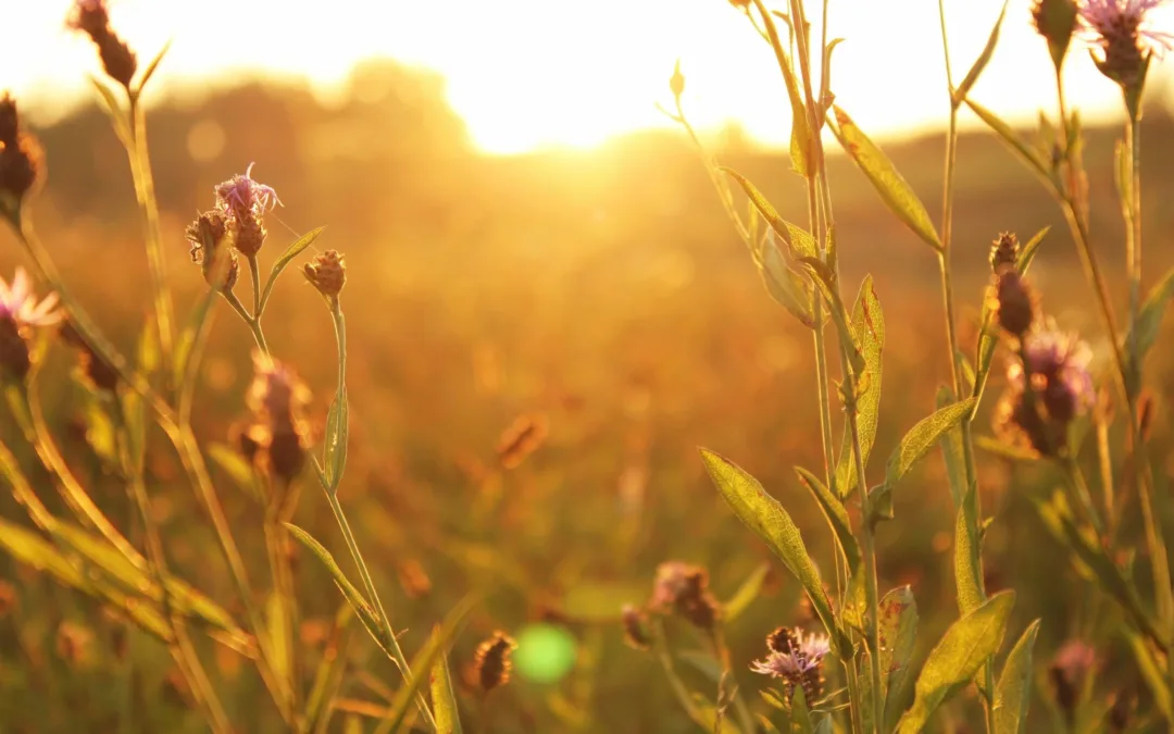 Crafting Seamless Digital Journeys: The Essence of Exceptional User Experience